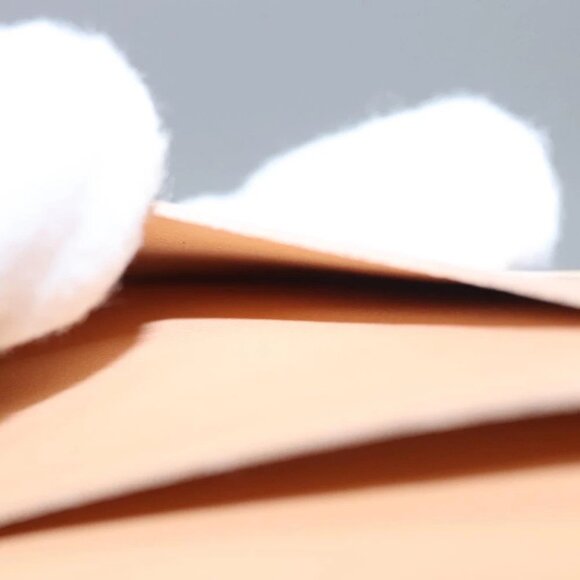 LOUIS VUITTON Cherry Blossom Agenda Mini Day Planner Cover - Picture 15 of 16